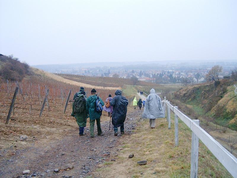 20111210 110.jpg